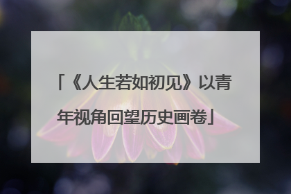 《人生若如初见》以青年视角回望历史画卷