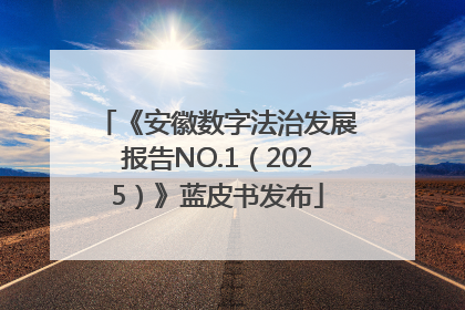 《安徽数字法治发展报告NO.1（2025）》蓝皮书发布