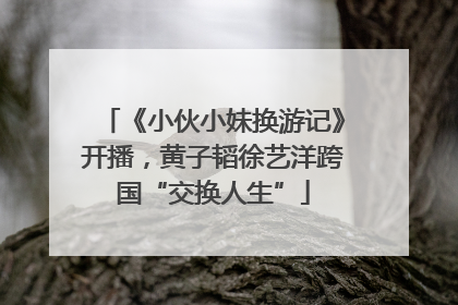 《小伙小妹换游记》开播，黄子韬徐艺洋跨国“交换人生”