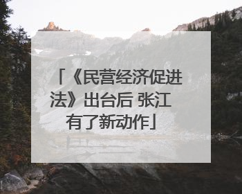 《民营经济促进法》出台后 张江有了新动作