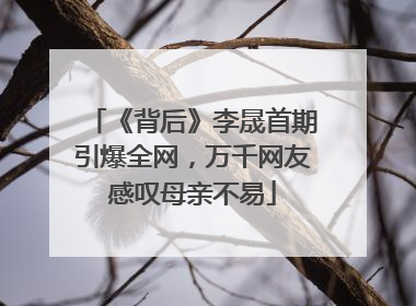 《背后》李晟首期引爆全网，万千网友感叹母亲不易