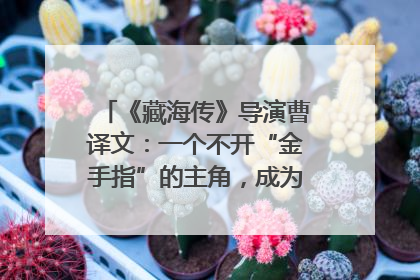 《藏海传》导演曹译文：一个不开“金手指”的主角，成为苍生守护者