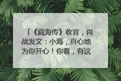 《藏海传》收官，肖战发文：小海，真心地为你开心！你看，有这么多人懂你！