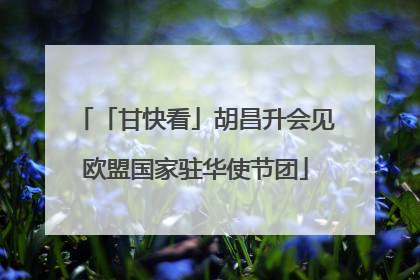 「甘快看」胡昌升会见欧盟国家驻华使节团