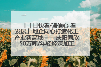 「甘快看·强信心 看发展」地企同心打造化工产业新高地——庆阳同欣50万吨/年轻烃深加工项目建设见闻