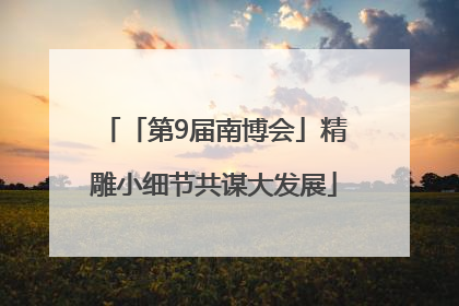 「第9届南博会」精雕小细节共谋大发展
