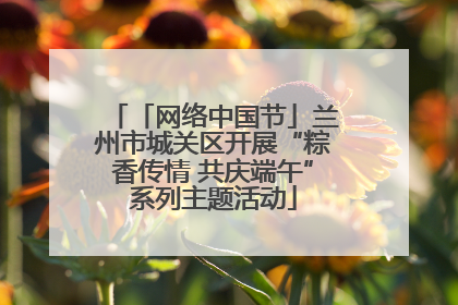 「网络中国节」兰州市城关区开展“粽香传情 共庆端午”系列主题活动