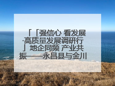 「强信心 看发展·高质量发展调研行」地企同频 产业共振——永昌县与金川集团地企融合推动重大项目建设
