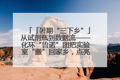 「暑期“三下乡”」从试剂瓶到数据流——化环“鲁诺”团把实验室“搬”回家乡，点亮桑梓求知路