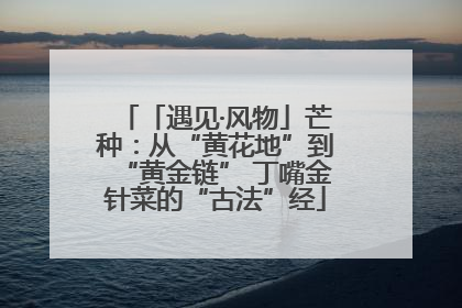 「遇见·风物」芒种：从“黄花地”到“黄金链” 丁嘴金针菜的“古法”经