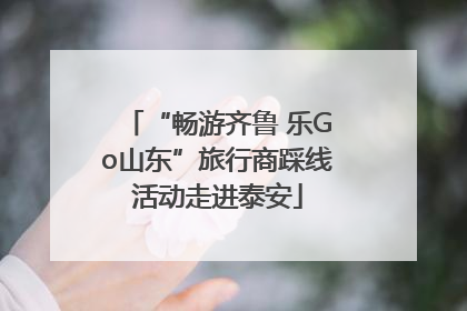 “畅游齐鲁 乐Go山东”旅行商踩线活动走进泰安