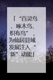 “百灵鸟、啄木鸟、织布鸟”，为仙居县域发展注入“新”动能