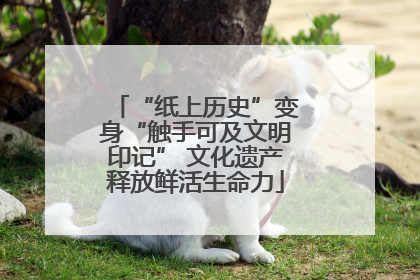 “纸上历史”变身“触手可及文明印记” 文化遗产释放鲜活生命力