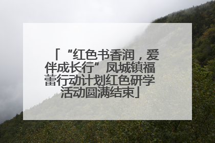 “红色书香润，爱伴成长行”凤城镇福蕾行动计划红色研学活动圆满结束