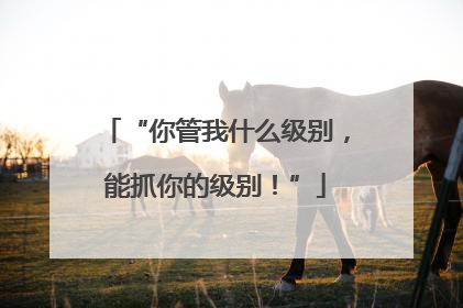 “你管我什么级别，能抓你的级别！”