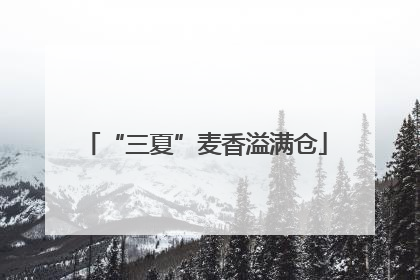 “三夏”麦香溢满仓