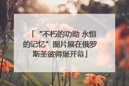 “不朽的功勋 永恒的记忆”图片展在俄罗斯圣彼得堡开幕