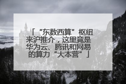 “东数西算”枢纽来沪推介，这里竟是华为云、腾讯和网易的算力“大本营”