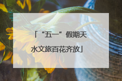 “五一”假期天水文旅百花齐放