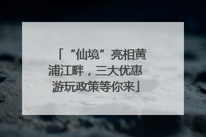 “仙境”亮相黄浦江畔，三大优惠游玩政策等你来
