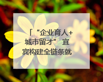 “企业育人+城市留才” 宜宾构建全链条就业服务体系促高校毕业生就业｜您牵挂的四川