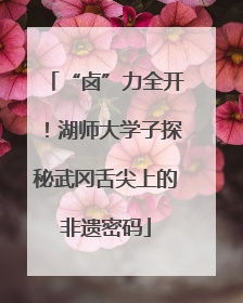 “卤”力全开！湖师大学子探秘武冈舌尖上的非遗密码