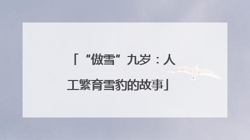 “傲雪”九岁：人工繁育雪豹的故事