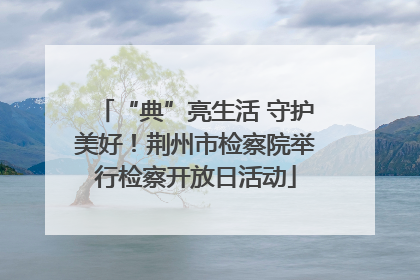 “典”亮生活 守护美好！荆州市检察院举行检察开放日活动