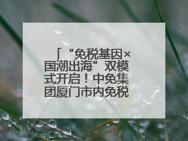 “免税基因×国潮出海”双模式开启！中免集团厦门市内免税店正式开业