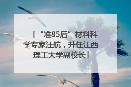 “准85后”材料科学专家汪航，升任江西理工大学副校长