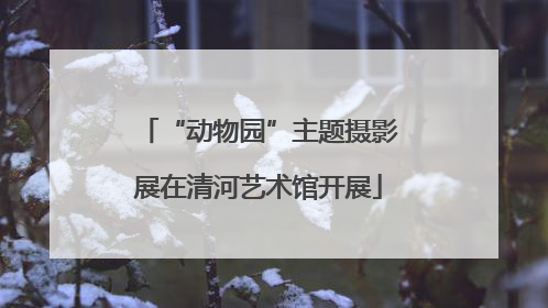 “动物园”主题摄影展在清河艺术馆开展