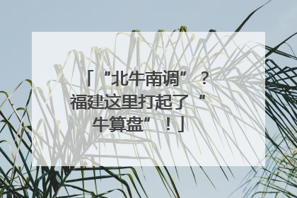 “北牛南调”？福建这里打起了“牛算盘”！
