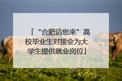 “合肥请您来”高校毕业生对接会为大学生提供就业岗位