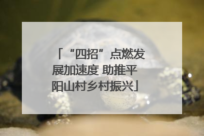 “四招”点燃发展加速度 助推平阳山村乡村振兴