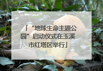 “地球生命主题公园”启动仪式在玉溪市红塔区举行