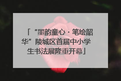 “墨韵童心・笔绘韶华”陵城区首届中小学生书法展隆重开幕