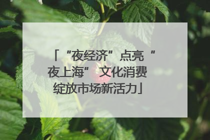 “夜经济”点亮“夜上海” 文化消费绽放市场新活力