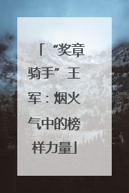 “奖章骑手”王军：烟火气中的榜样力量