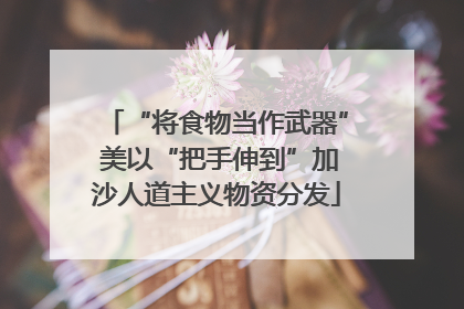 “将食物当作武器” 美以“把手伸到”加沙人道主义物资分发