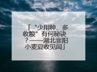 “少用种、多收粮”有何秘诀？——湖北襄阳小麦夏收见闻
