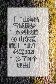 “山海情·雪域援梦”系列报道④ 山东援藏让“此生必驾318”多了N个理由