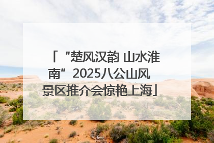 “楚风汉韵 山水淮南”2025八公山风景区推介会惊艳上海