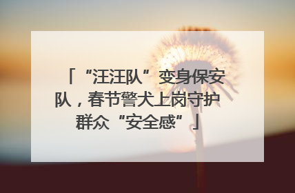 “汪汪队”变身保安队，春节警犬上岗守护群众“安全感”