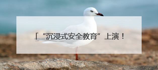 “沉浸式安全教育”上演！旅客：这课比刷抖音还上头