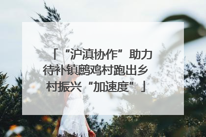 “沪滇协作”助力待补镇鹧鸡村跑出乡村振兴“加速度”