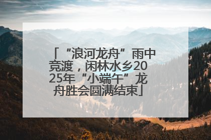 “浪河龙舟”雨中竞渡，闲林水乡2025年“小端午”龙舟胜会圆满结束