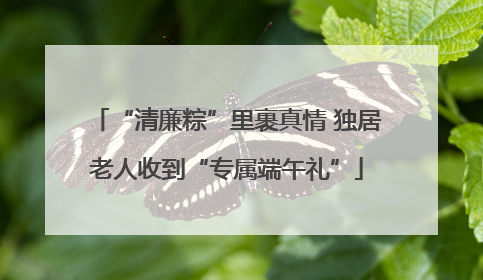 “清廉粽”里裹真情 独居老人收到“专属端午礼”