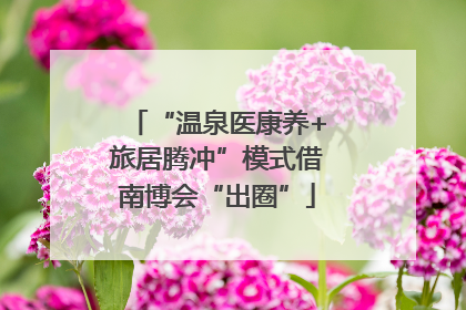 “温泉医康养+旅居腾冲”模式借南博会“出圈”