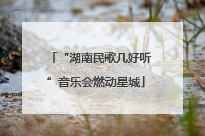 “湖南民歌几好听”音乐会燃动星城