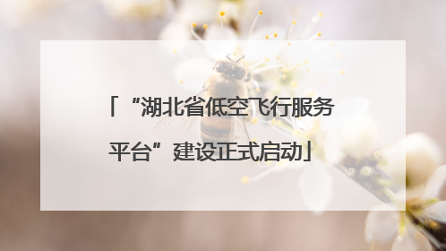 “湖北省低空飞行服务平台”建设正式启动